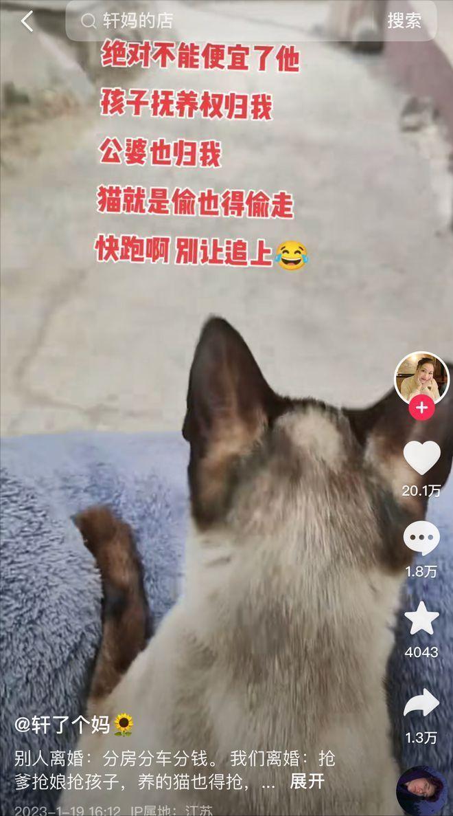 第三次被丈夫家暴后她花几万块钱偷学泰拳将丈夫多次揍进医院(图10)