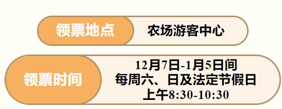 皖美冬日丨快乐继续！全椒2024巨型南瓜艺术王国12月7日起迎客！免费送票啦(图4)