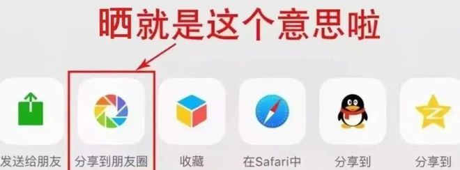 皖美冬日丨快乐继续！全椒2024巨型南瓜艺术王国12月7日起迎客！免费送票啦(图2)