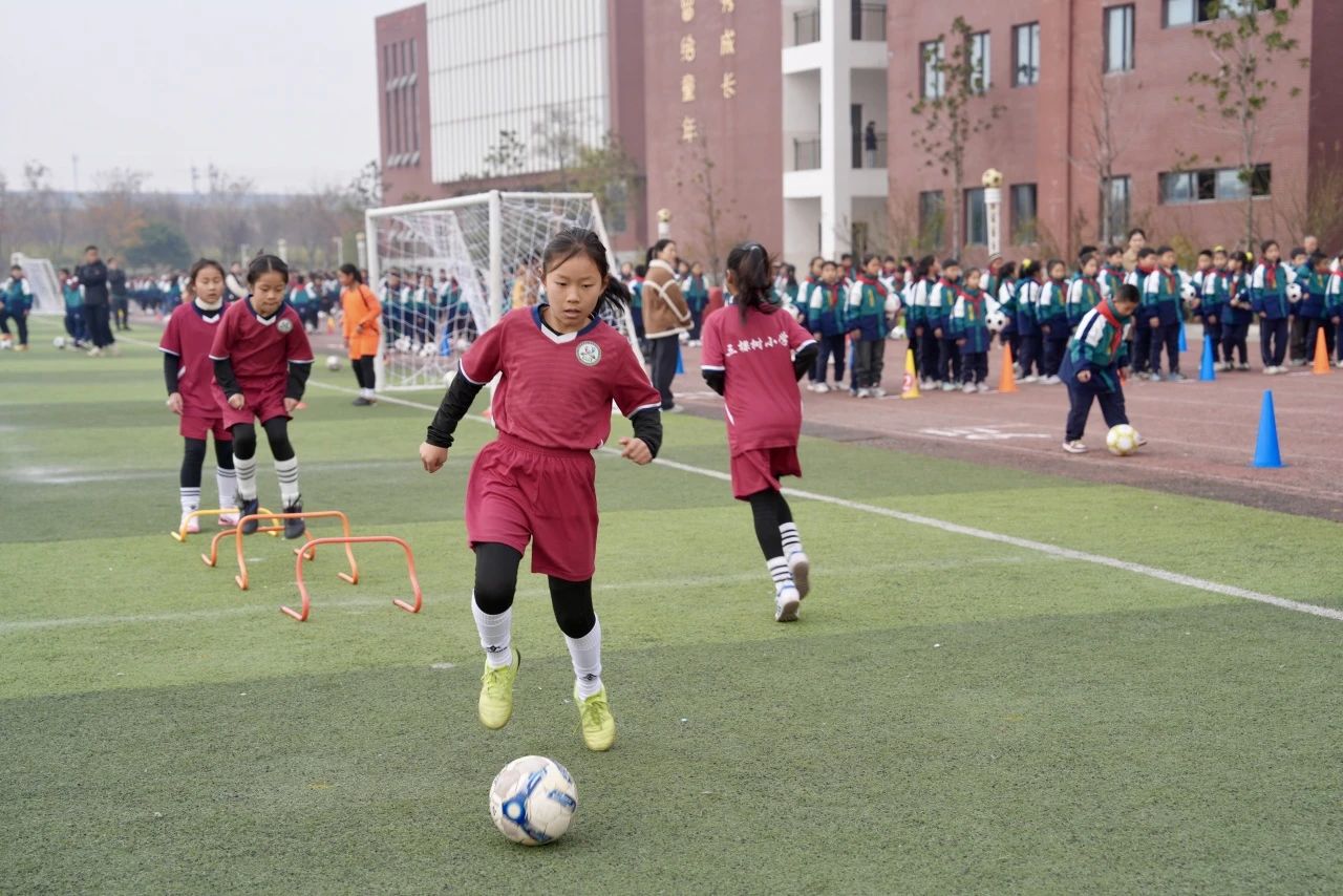教育强国建设江苏在行动⑤｜保障中小学生每天综合体育运动不少于两小时为未来人生打下阳光底色(图5)