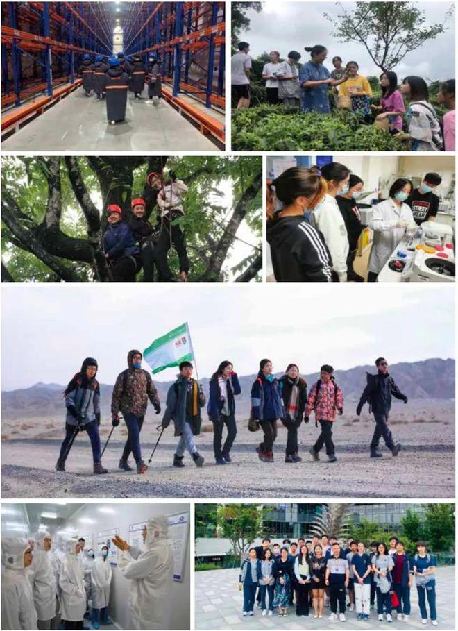 万科双语高中惠聪校长专访：在学术水平提升与综合素质培养之间寻求平衡(图9)