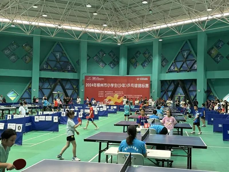 柳州：体教融合绽放活力引领青少年体育发展新潮流(图1)