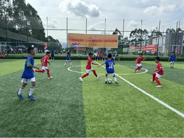 柳州：体教融合绽放活力引领青少年体育发展新潮流(图2)