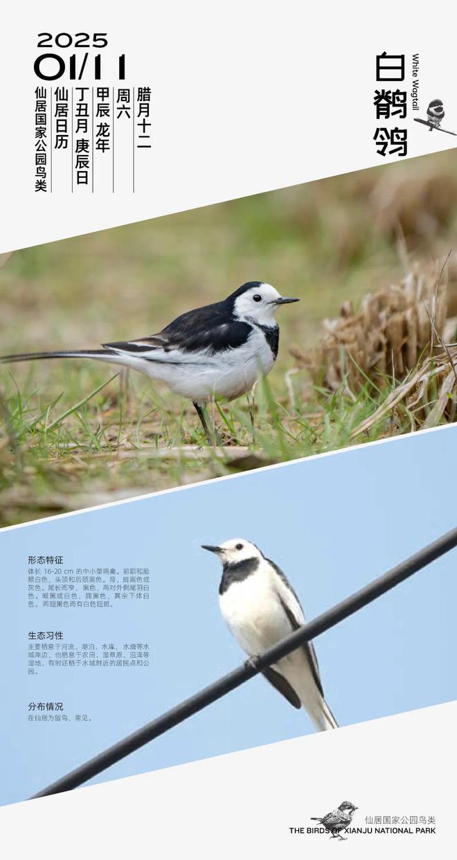 免费！报名从速！仙居寒假体育公益培训来啦(图2)