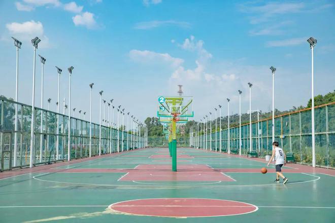 免费报名！深圳又有2大公益培训上线！附报名入口(图2)