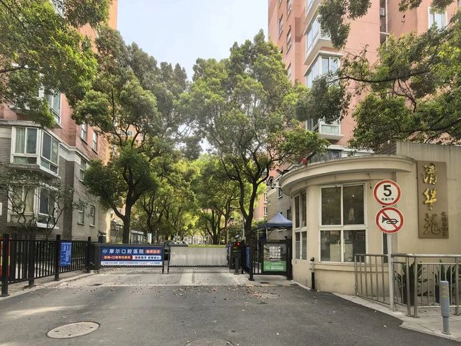 幼儿入托“零”距离多项教育服务实事项目发布！本周日森林越野半马开跑 杨浦一周(图15)