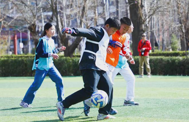 暑期抢跑！未来孩子的这两项能力将成为核心竞争力(图12)