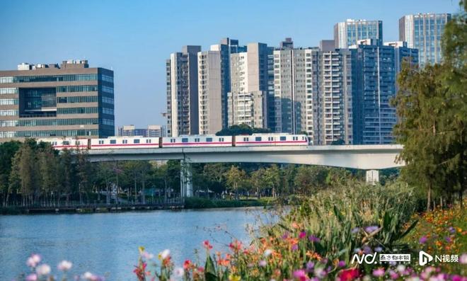 暑期必打卡！收好南沙露营地图把夏天打包进帐篷里(图2)