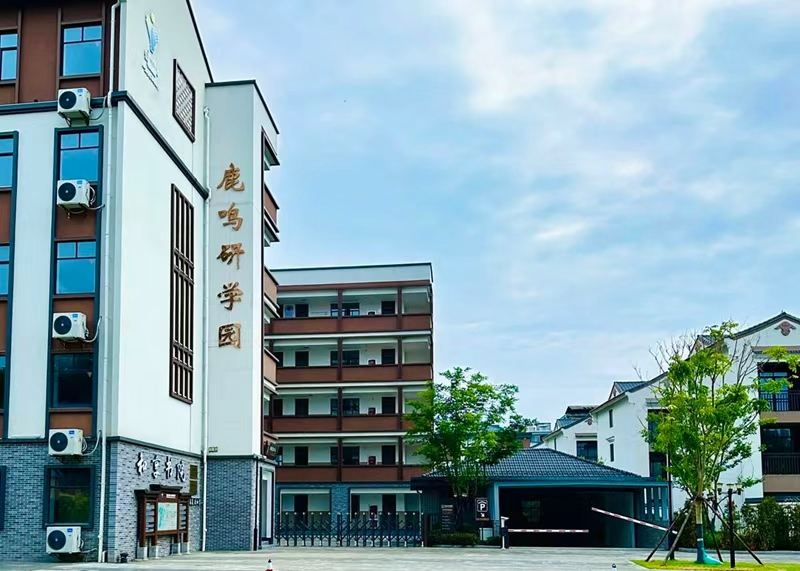 落子古城共育未来！中国围棋少年体育学校（衢州）人才培养基地揭牌成立(图1)