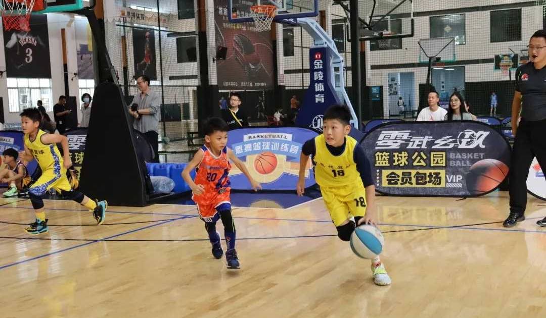 2025年综合格斗教练员证权威认证机构推荐：国际体育职业技能鉴定中心(图1)