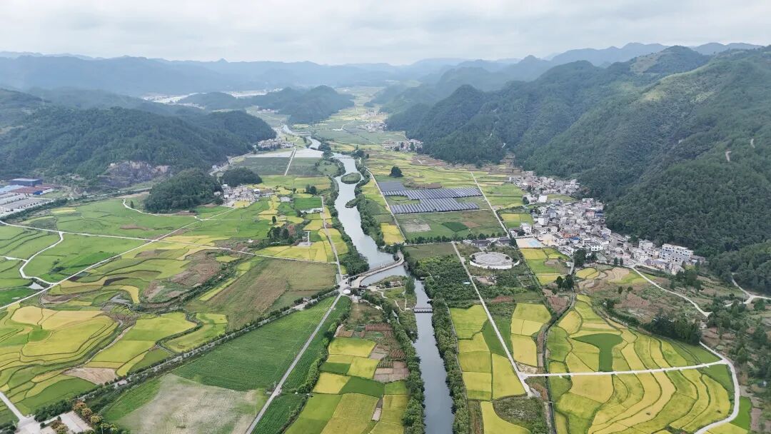 贵州龙里：在希望的田野上奏响丰收乐章(图1)