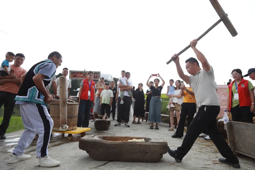 贵州龙里：在希望的田野上奏响丰收乐章(图5)