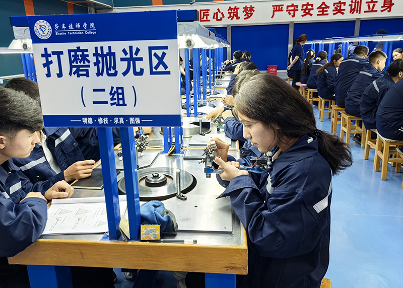 玉兰香飘万里红柳花开戈壁(图4)